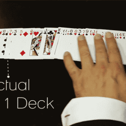 The 52 to 1 deck / Red
